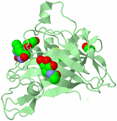 Image Biological Unit 2