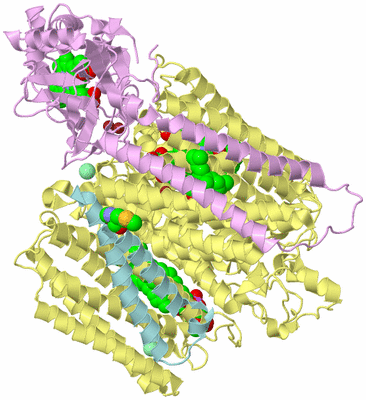 Image Biological Unit 1