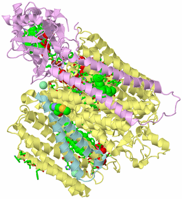 Image Biol. Unit 1 - sites