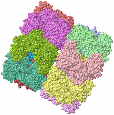 Image Asym./Biol. Unit