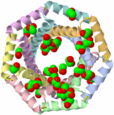 Image Asym./Biol. Unit