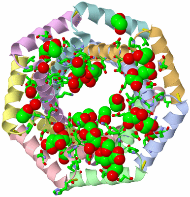 Image Asym./Biol. Unit - sites