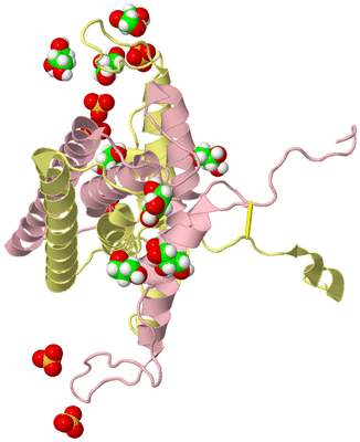 Image Biological Unit 2