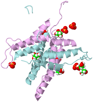 Image Biological Unit 3