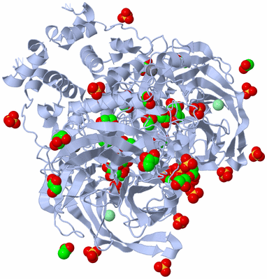 Image Biological Unit 2