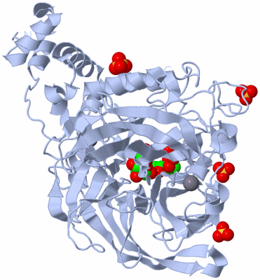 Image Biological Unit 1