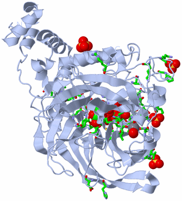 Image Biol. Unit 1 - sites