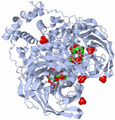 Image Biological Unit 2