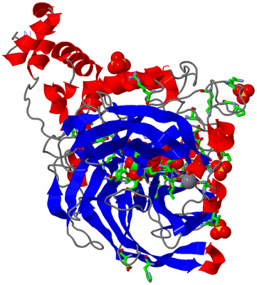 Image Asym. Unit - sites