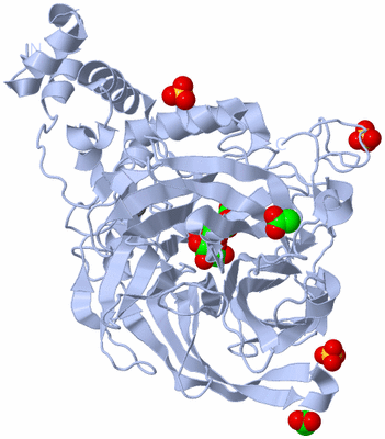 Image Biological Unit 1