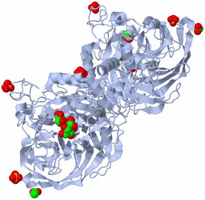 Image Biological Unit 2