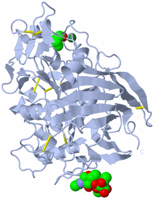 Image Biological Unit 1