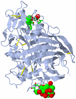 Image Biol. Unit 1 - sites