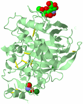 Image Biological Unit 2