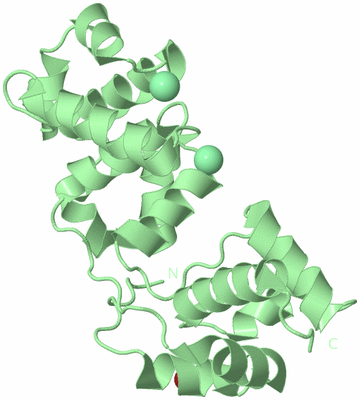 Image Biological Unit 2