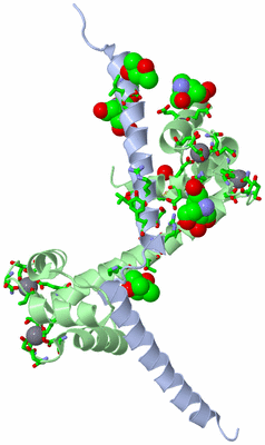 Image Asym./Biol. Unit - sites