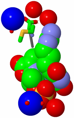 Image Asym./Biol. Unit - sites