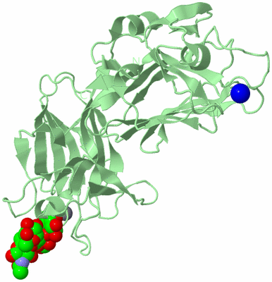 Image Biological Unit 2