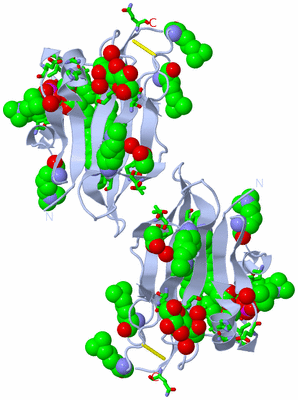 Image Biol. Unit 1 - sites