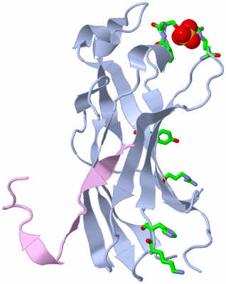 Image Biol. Unit 1 - sites