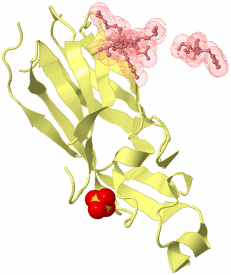 Image Biological Unit 4