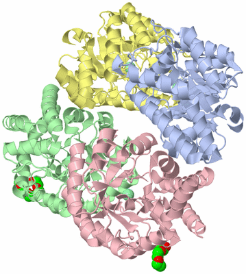 Image Asym./Biol. Unit