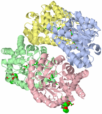 Image Asym./Biol. Unit - sites