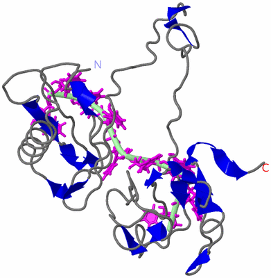 Image NMR Structure - model 1