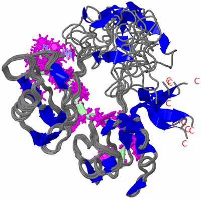 Image NMR Structure - all models