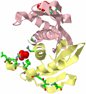 Image Biol. Unit 1 - sites