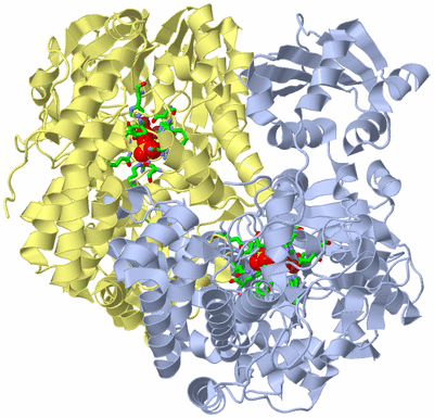 Image Biol. Unit 1 - sites