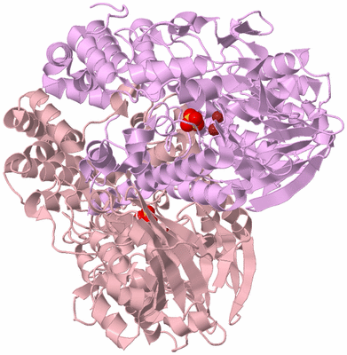 Image Biological Unit 3