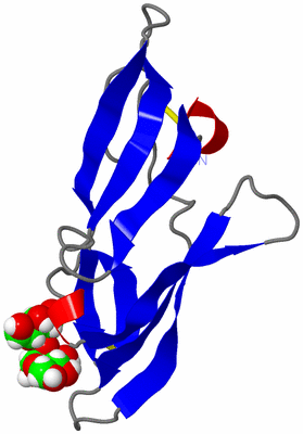 Image NMR Structure - model 1