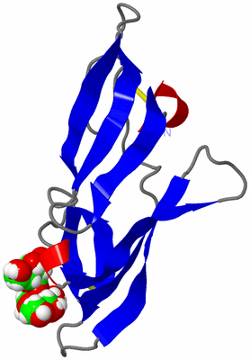 Image NMR Structure - all models