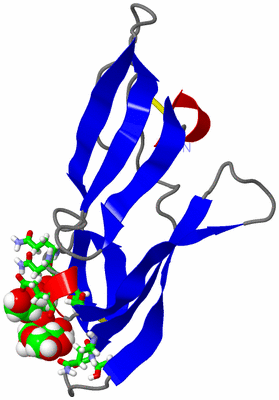 Image NMR Structure - model 1, sites