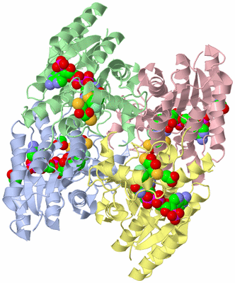 Image Asym./Biol. Unit