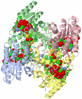 Image Asym./Biol. Unit - sites