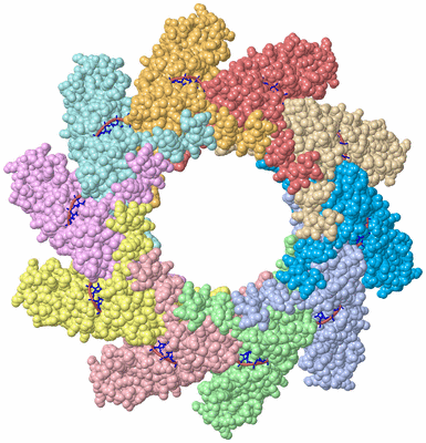 Image Asym./Biol. Unit