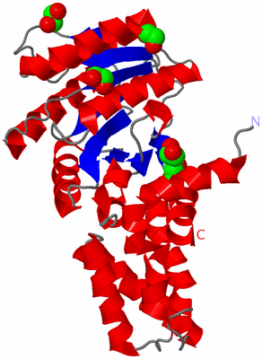 Image Asym./Biol. Unit