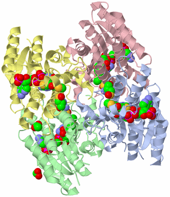 Image Asym./Biol. Unit