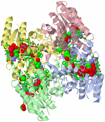 Image Asym./Biol. Unit - sites