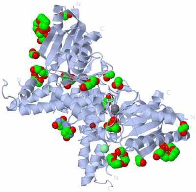 Image Biological Unit 1