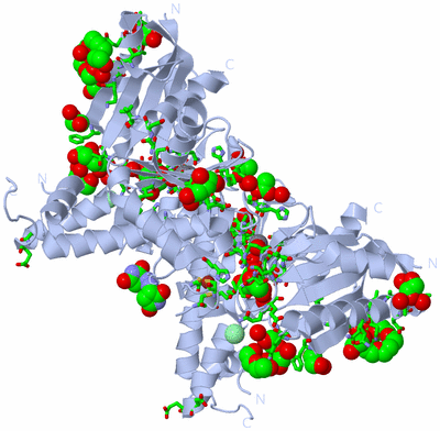 Image Biol. Unit 1 - sites