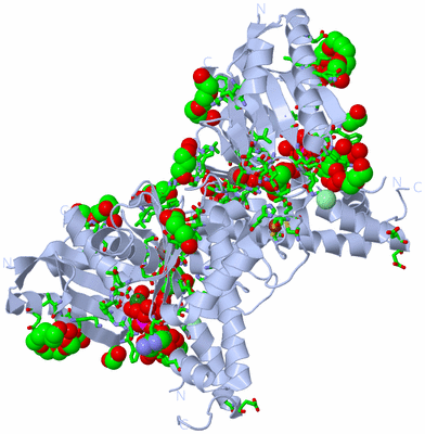 Image Biol. Unit 1 - sites