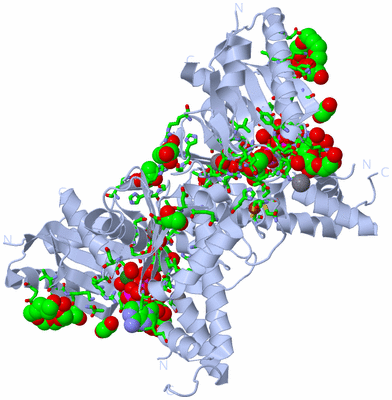 Image Biol. Unit 1 - sites