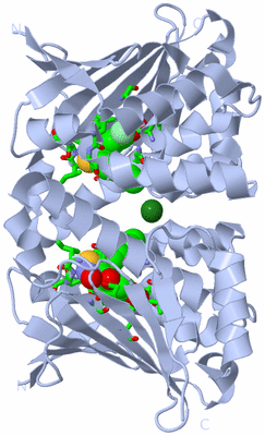 Image Biol. Unit 1 - sites