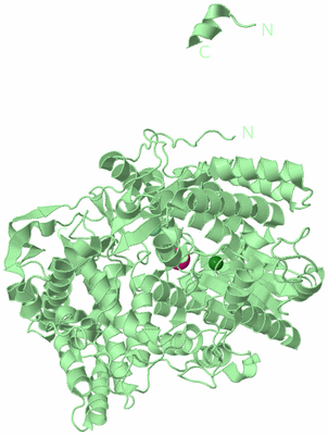 Image Biological Unit 2