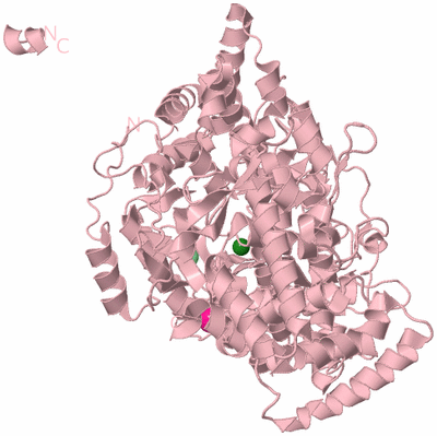 Image Biological Unit 3