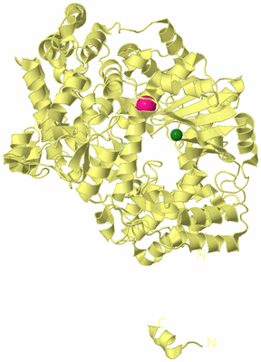 Image Biological Unit 4