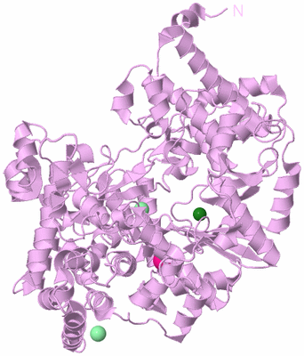 Image Biological Unit 5